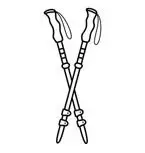 Trekking Poles