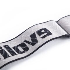 Evolite Gtx Ski Goggles - Grey