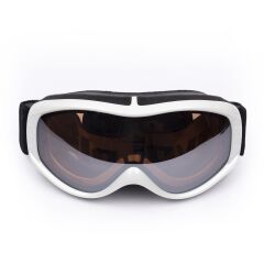 Evolite Glossy Ski Goggles