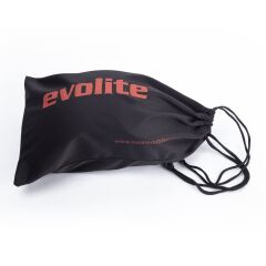 Evolite Glossy Ski Goggles