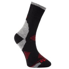 Evolite Alpen Socks