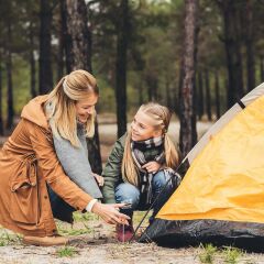Evolite Steel Tent Pegs