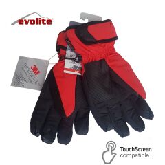 Evolite Glox Ski Gloves M-L